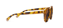 Load image into Gallery viewer, Beverly Shores (Sunglasses)