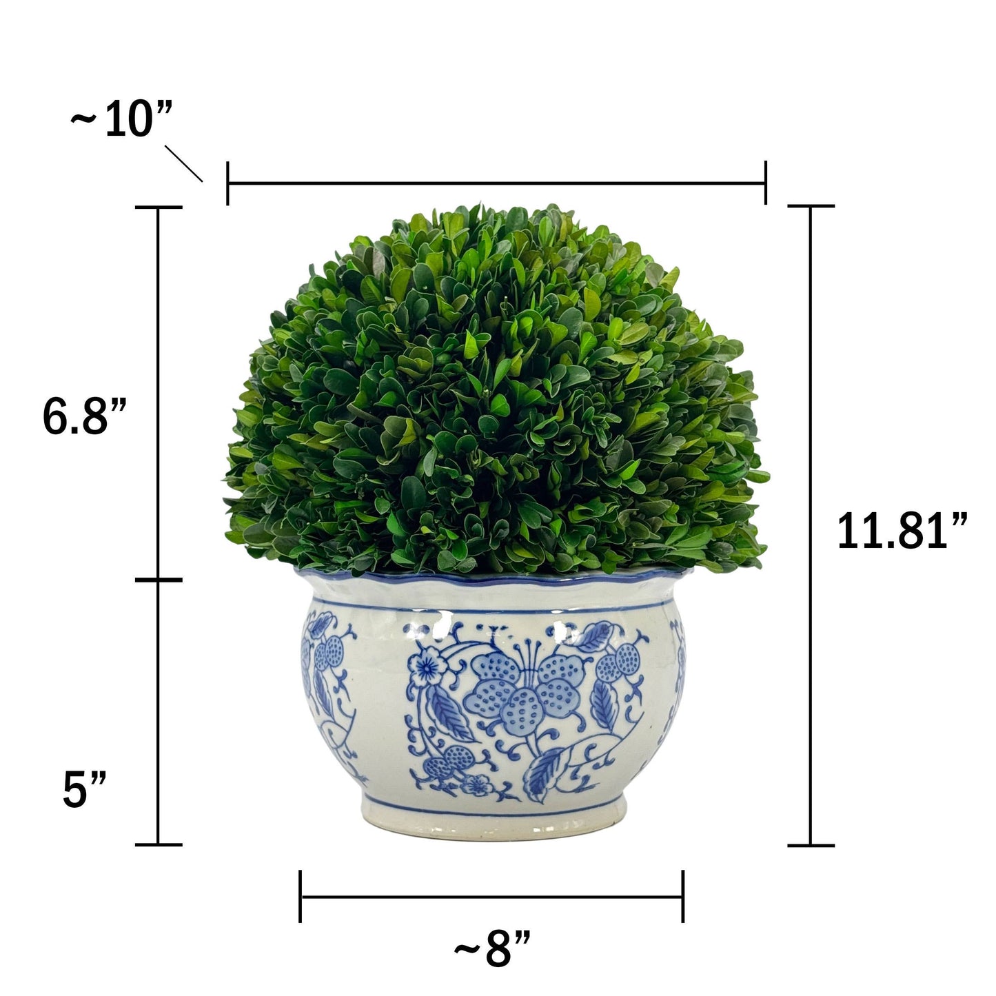 Boxwood Ball Topiary in Round Bulb Blue & White Ceramic Pot