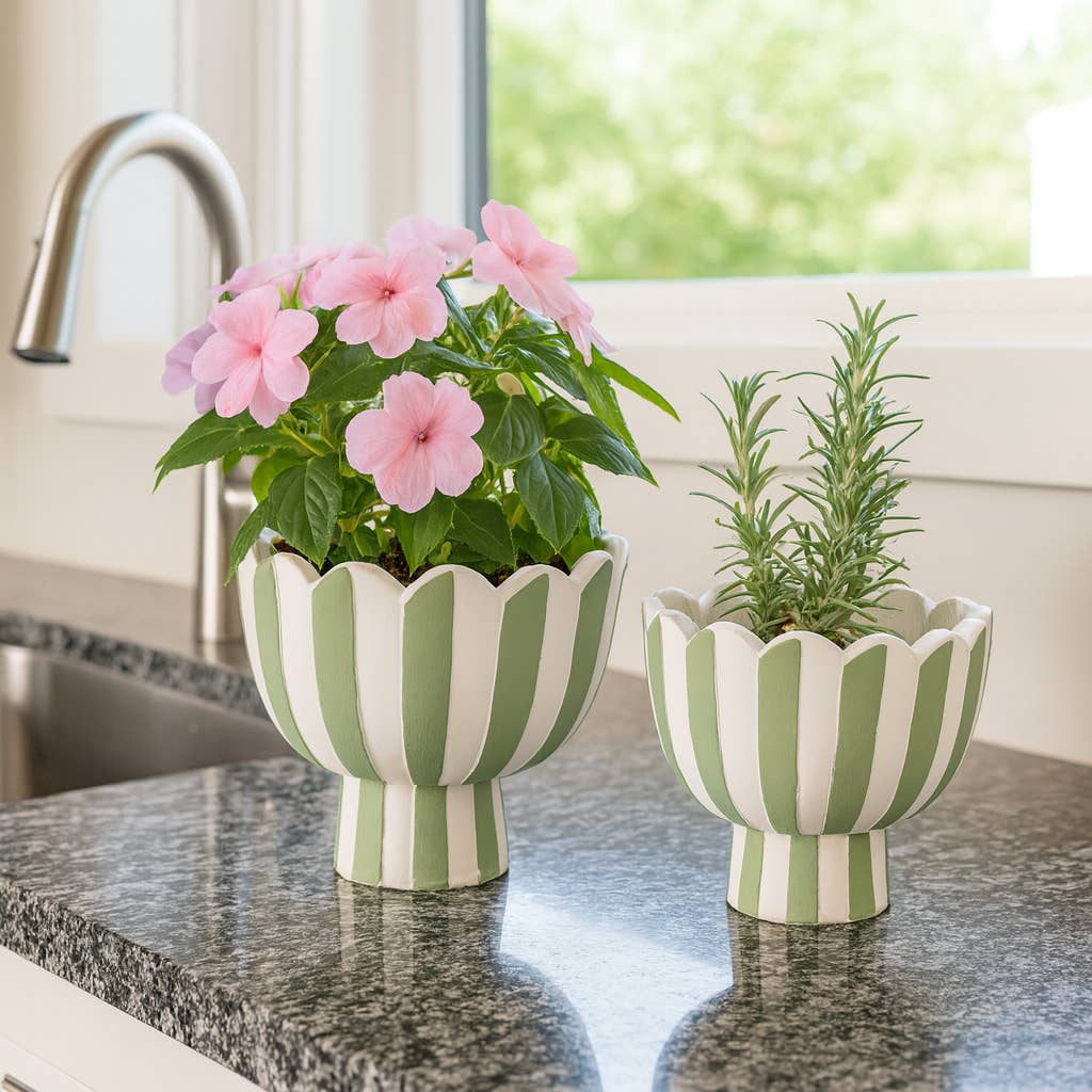 Ceramic Scalloped Striped Planters