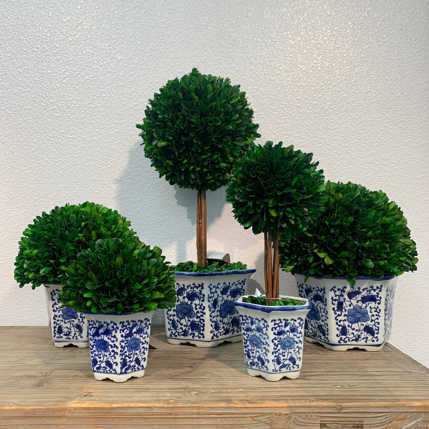 Boxwood Ball Topiary Tree in Blue & White Ceramic Pot Decor