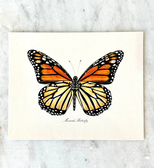 Monarch Butterfly Watercolor Vintage Art Print Nature Art