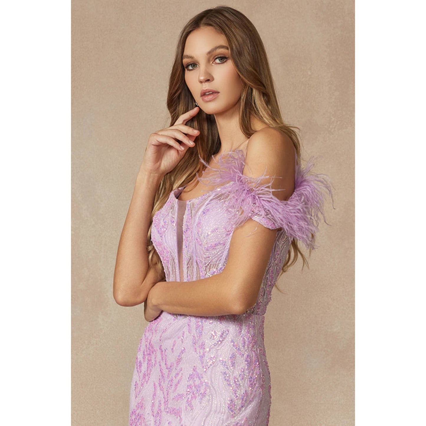 Gown with Corset Bodice & Feathers off the Shoulder