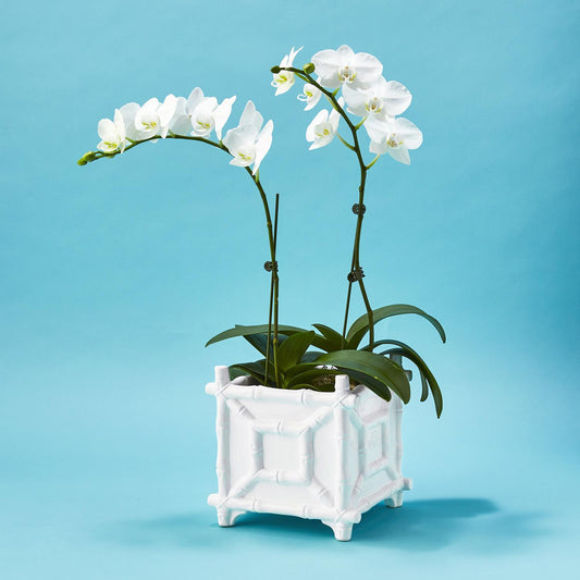 Hampton Faux Bamboo Fretwork Cachepot - Ceramic