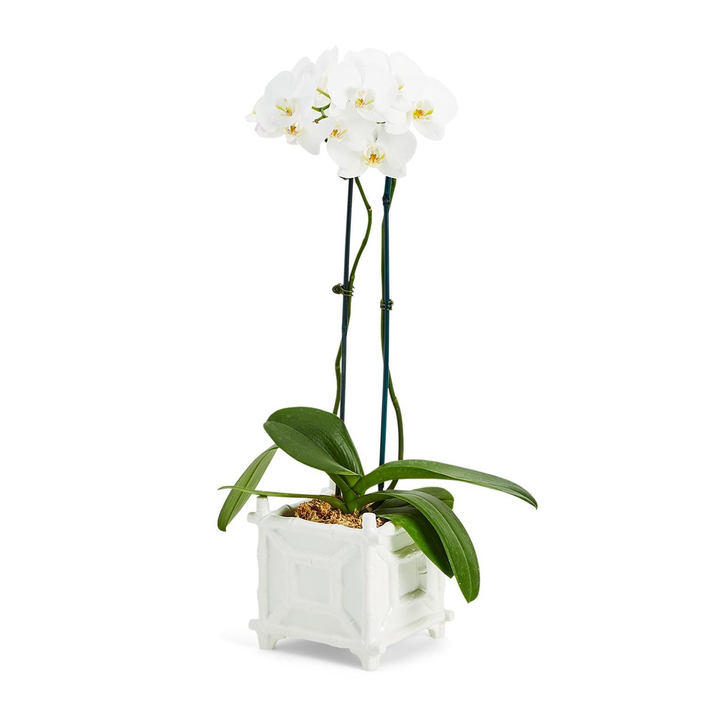 Hampton Faux Bamboo Fretwork Cachepot - Ceramic