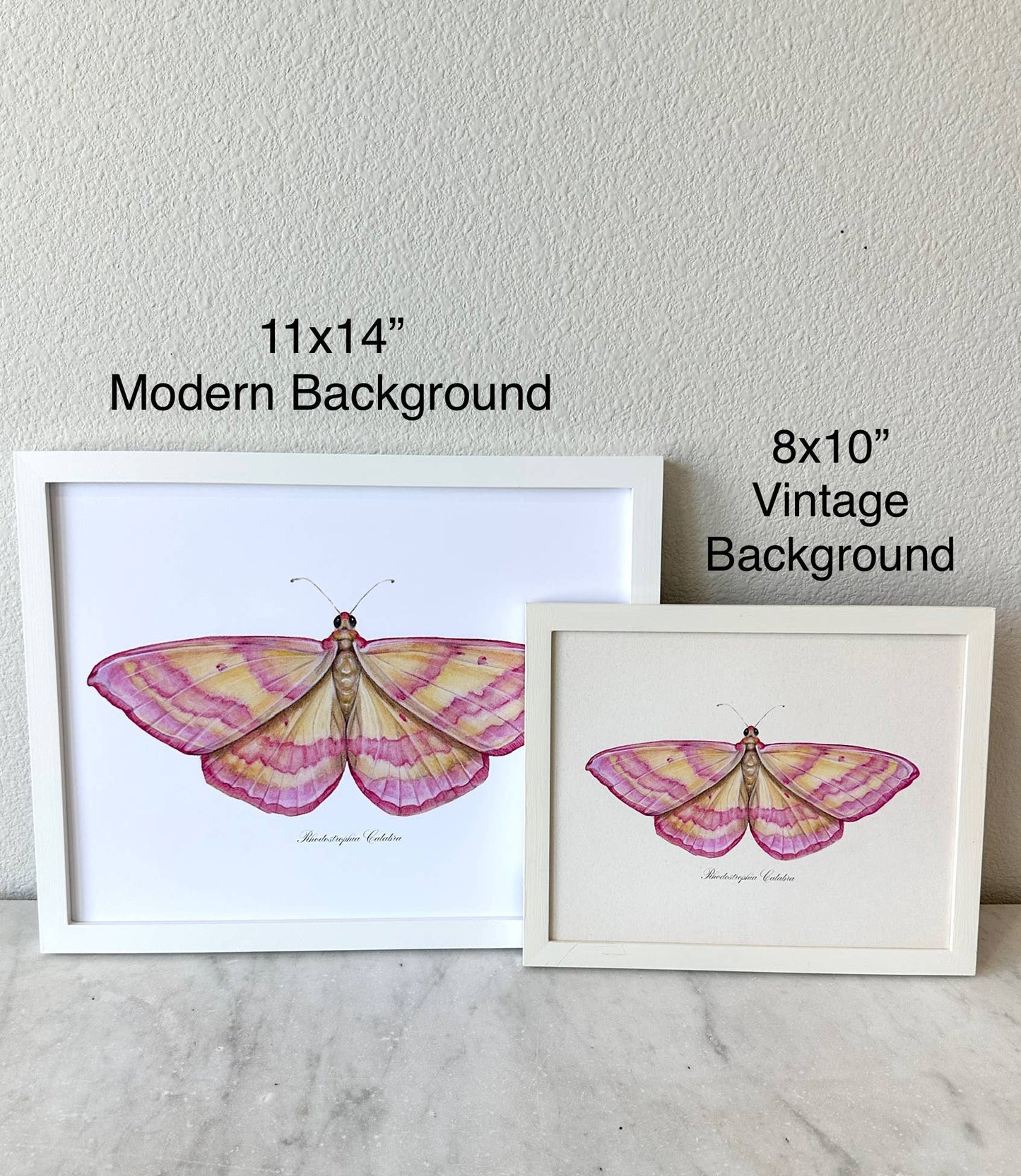 Pink Moth Vintage Art Print Nursery Wall Art Girl's Room 