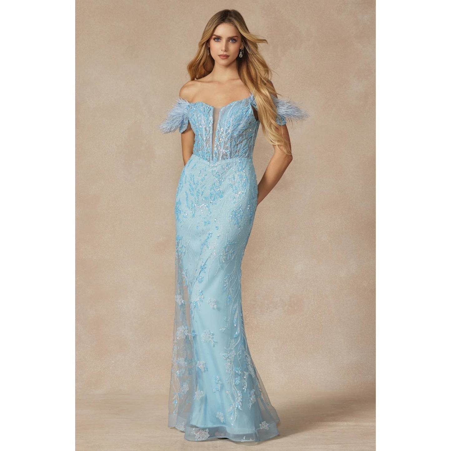 Gown with Corset Bodice & Feathers off the Shoulder