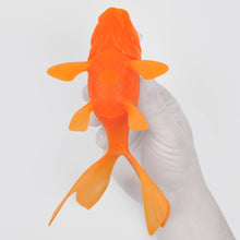 Load image into Gallery viewer, Koi Toy - Light-Up Goldfish - Bath &amp; Pool Toy
