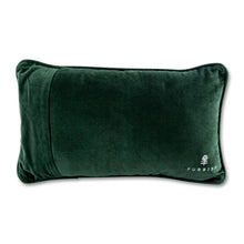 Load image into Gallery viewer, Patience Needlepoint Pillow
