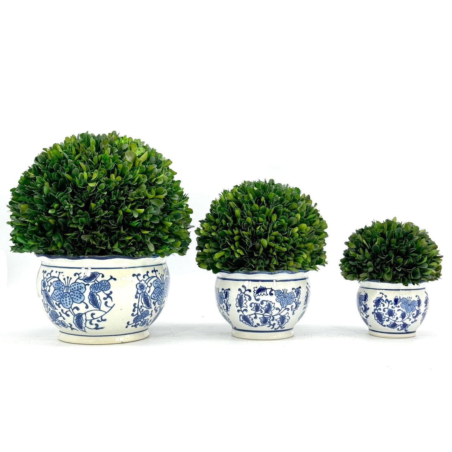 Boxwood Ball Topiary in Round Bulb Blue & White Ceramic Pot