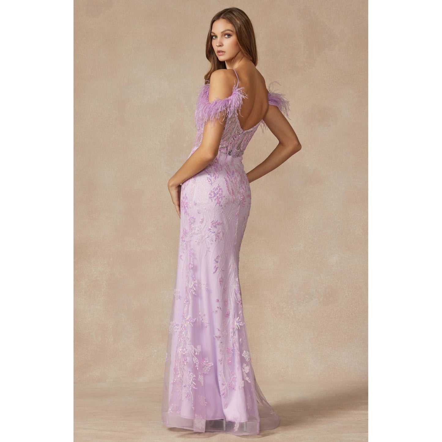 Gown with Corset Bodice & Feathers off the Shoulder