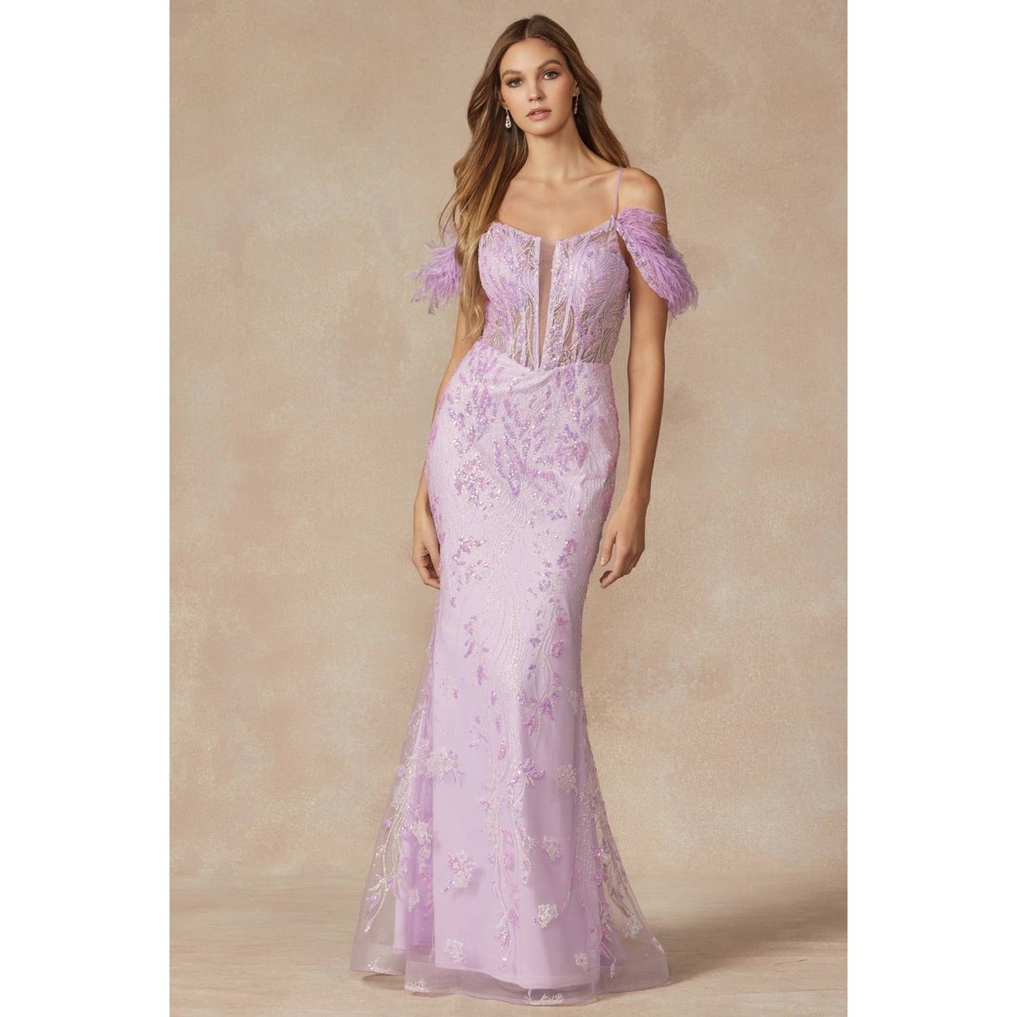 Gown with Corset Bodice & Feathers off the Shoulder