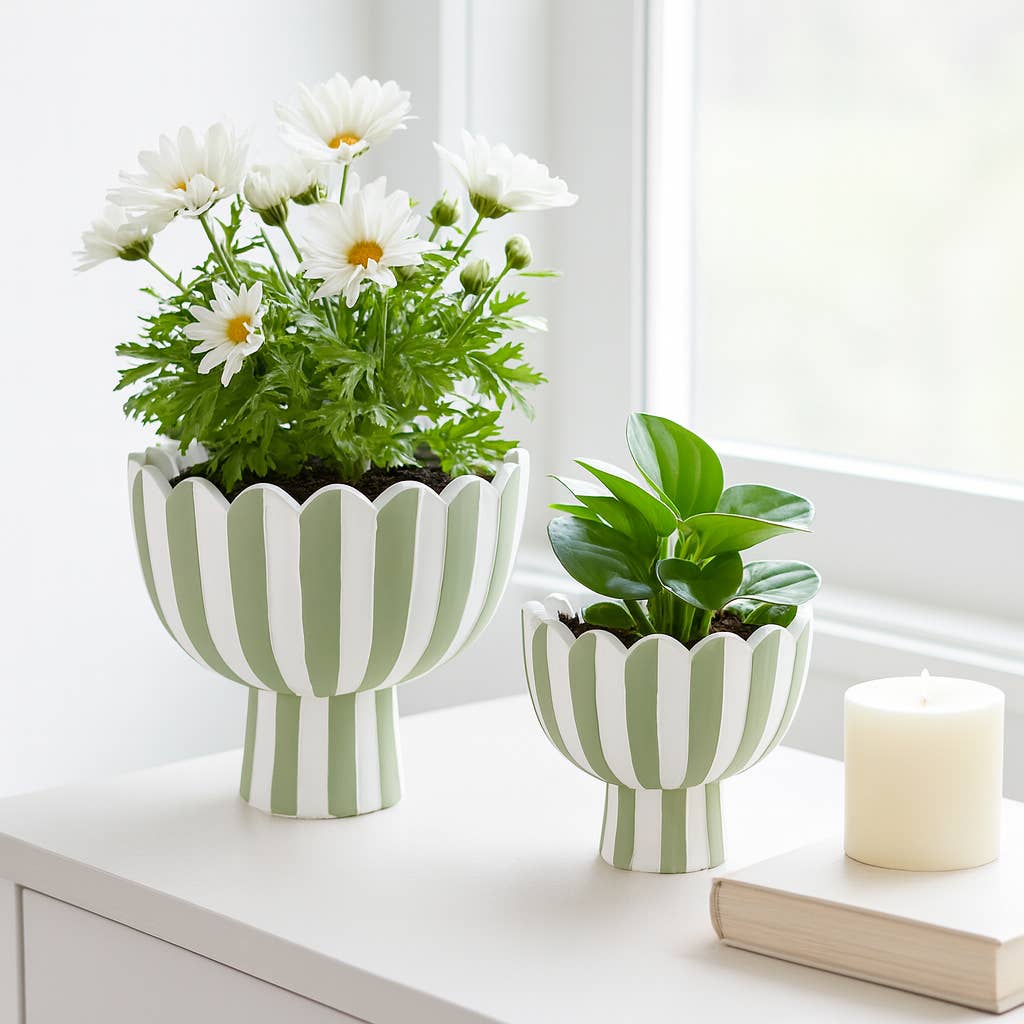 Ceramic Scalloped Striped Planters