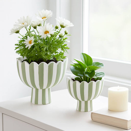 Ceramic Scalloped Striped Planters
