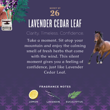 Load image into Gallery viewer, Caldrea - Lavender Cedar Leaf Dish Soap with Soap Bark &amp; Aloe Vera
