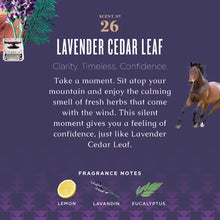 Load image into Gallery viewer, Lavender Cedar Leaf Linen &amp; Room Spray with Soap Bark &amp; Aloe
