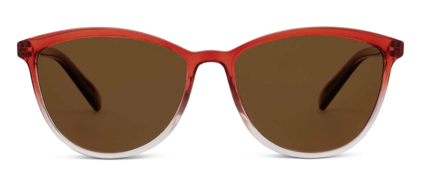 Havana (Sunglasses)
