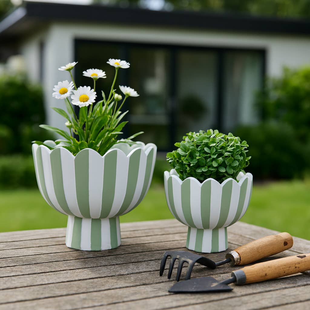 Ceramic Scalloped Striped Planters