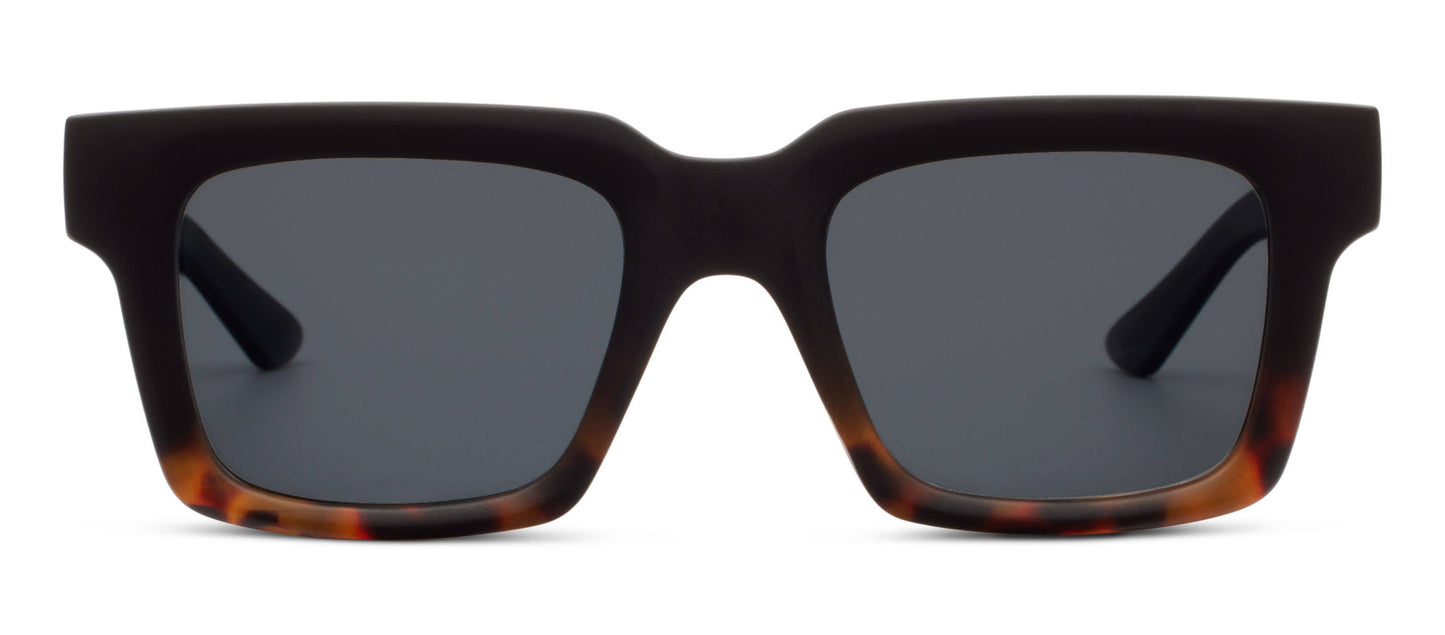 Dax (Sunglasses)